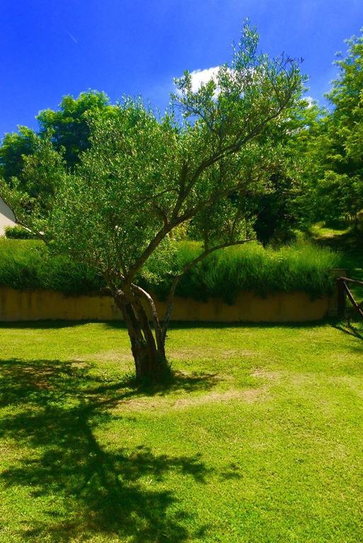 Civitella di Romagna Agriturismo Acero Rosso מראה חיצוני תמונה